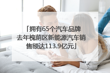 拥有65个汽车品牌 去年槐荫区新能源汽车销售额达113.9亿元