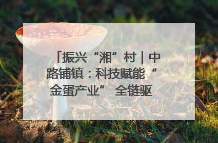 振兴“湘”村｜中路铺镇：科技赋能“金蛋产业” 全链驱动乡村振兴