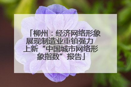 柳州：经济网络形象展现制造业重镇强力 上新“中国城市网络形象指数”报告
