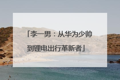 李一男：从华为少帅到锂电出行革新者