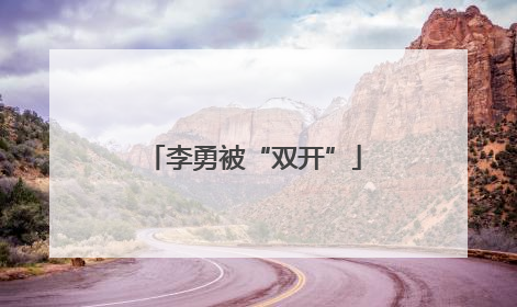 李勇被“双开”