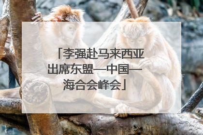 李强赴马来西亚出席东盟—中国—海合会峰会