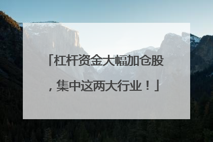 杠杆资金大幅加仓股，集中这两大行业！