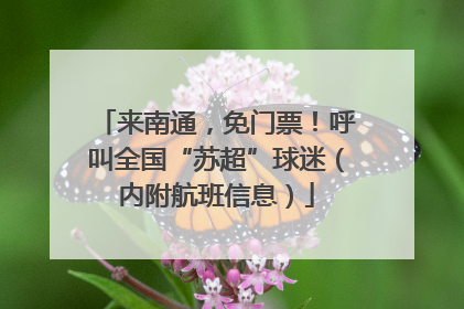 来南通，免门票！呼叫全国“苏超”球迷（内附航班信息）