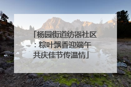 杨园街道纺器社区：粽叶飘香迎端午 共庆佳节传温情