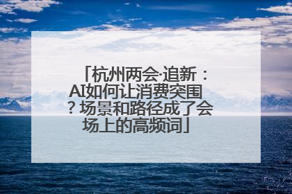 杭州两会·追新：AI如何让消费突围？场景和路径成了会场上的高频词