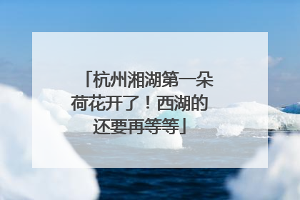 杭州湘湖第一朵荷花开了！西湖的还要再等等