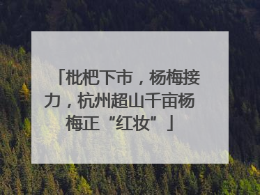 枇杷下市，杨梅接力，杭州超山千亩杨梅正“红妆”