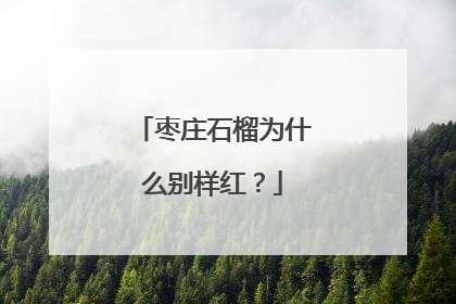 枣庄石榴为什么别样红？