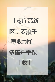 枣庄高新区：麦浪千重收割忙 多措并举保丰收