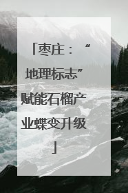 枣庄：“地理标志”赋能石榴产业蝶变升级