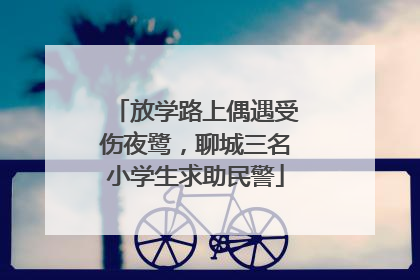 放学路上偶遇受伤夜鹭，聊城三名小学生求助民警