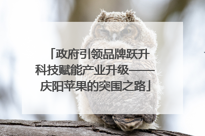 政府引领品牌跃升 科技赋能产业升级——庆阳苹果的突围之路