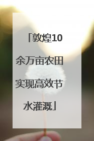 敦煌10余万亩农田实现高效节水灌溉