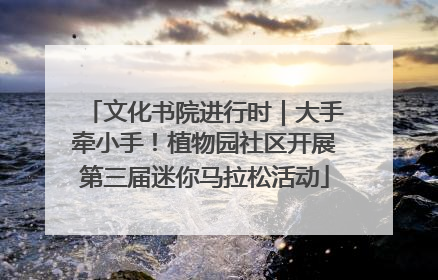 文化书院进行时｜大手牵小手！植物园社区开展第三届迷你马拉松活动