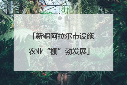 新疆阿拉尔市设施农业“棚”勃发展