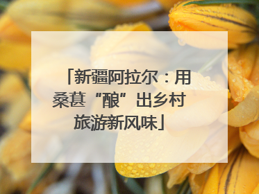新疆阿拉尔：用桑葚“酿”出乡村旅游新风味