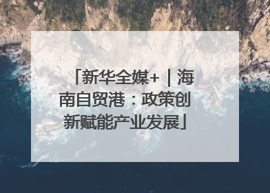 新华全媒+｜海南自贸港：政策创新赋能产业发展