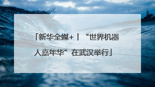 新华全媒+丨“世界机器人嘉年华”在武汉举行