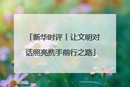 新华时评丨让文明对话照亮携手前行之路