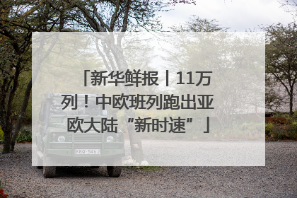 新华鲜报丨11万列！中欧班列跑出亚欧大陆“新时速”