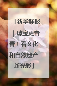 新华鲜报｜瑰宝更青春！看文化和自然遗产新光彩