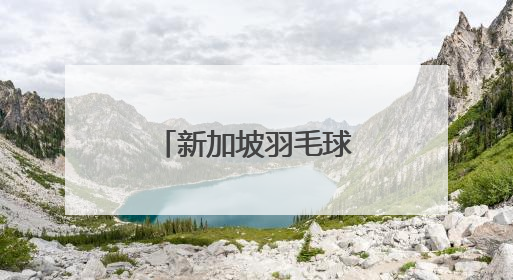 新加坡羽毛球公开赛丨陈雨菲夺得女单冠军
