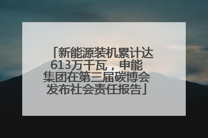 新能源装机累计达613万千瓦，申能集团在第三届碳博会发布社会责任报告