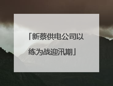 新蔡供电公司以练为战迎汛期