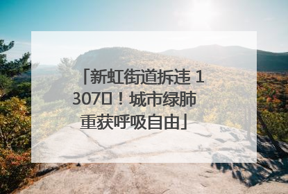 新虹街道拆违 1307㎡！城市绿肺重获呼吸自由