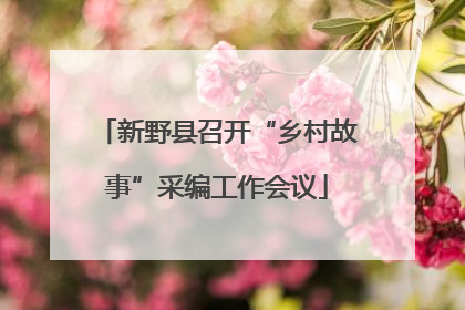 新野县召开“乡村故事”采编工作会议