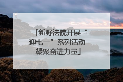 新野法院开展“迎七一”系列活动 凝聚奋进力量