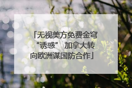 无视美方免费金穹“诱惑” 加拿大转向欧洲谋国防合作