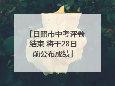 日照市中考评卷结束 将于28日前公布成绩