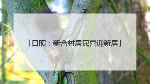 日照：新合村居民喜迎新居