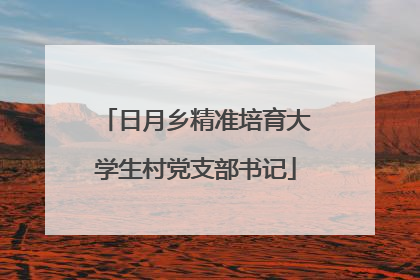 日月乡精准培育大学生村党支部书记