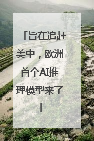 旨在追赶美中，欧洲首个AI推理模型来了