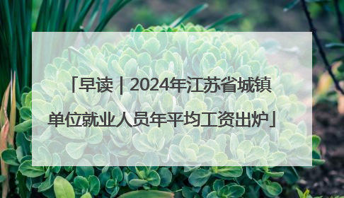 早读｜2024年江苏省城镇单位就业人员年平均工资出炉