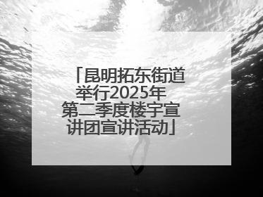 昆明拓东街道举行2025年第二季度楼宇宣讲团宣讲活动