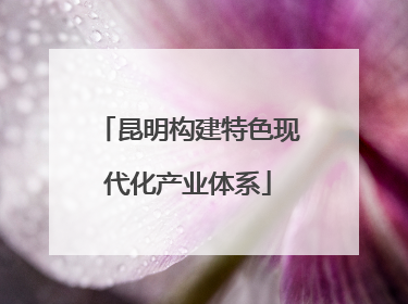 昆明构建特色现代化产业体系