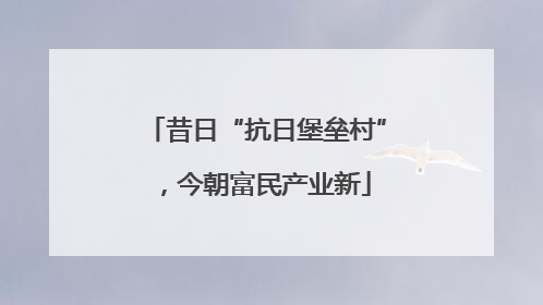 昔日“抗日堡垒村”，今朝富民产业新