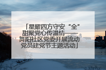 星耀四方守安“全” 甜聚党心传温情——舞阳社区党委开展流动党员建党节主题活动