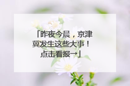 昨夜今晨，京津冀发生这些大事！点击看报→