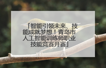 智能引领未来、技能成就梦想！青岛市人工智能训练师职业技能竞赛开赛