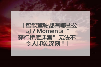 智能驾驶都有哪些公司？Momenta“穿行桥底迷宫”无法不令人印象深刻！