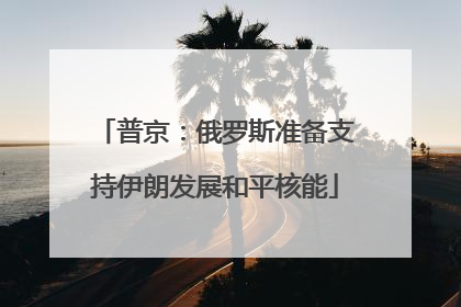 普京：俄罗斯准备支持伊朗发展和平核能