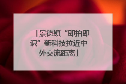 景德镇“即拍即识”新科技拉近中外交流距离