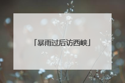暴雨过后访西峡