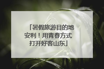 暑假旅游目的地安利！用青春方式打开好客山东