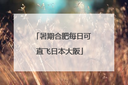 暑期合肥每日可直飞日本大阪